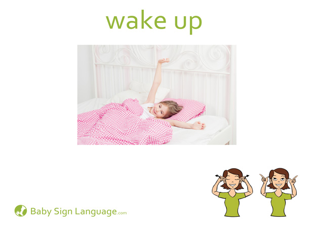 Wake up Baby Sign Language Flash card